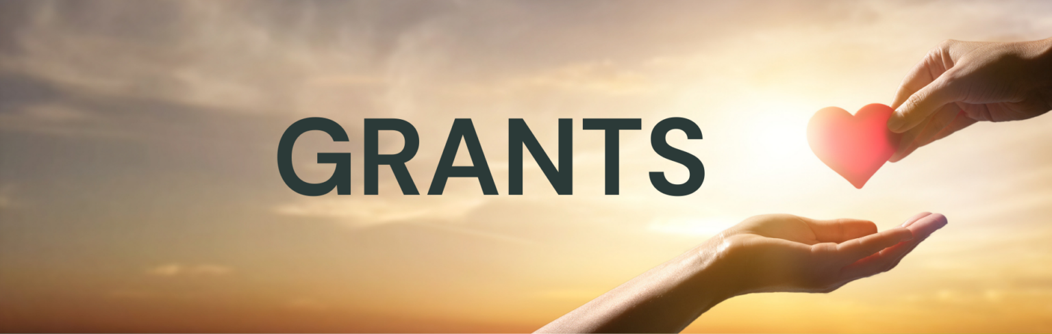 NATIONAL CANCER INSTITUTE GRANTS visual data 2